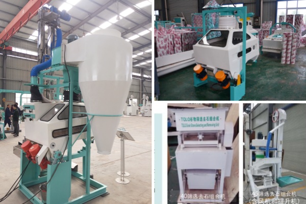 TQLS Grain and Seeds Cleaning and Stone Removing Machine.jpg