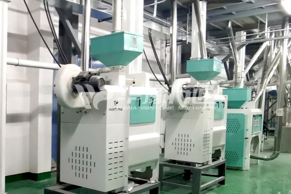 MTPS Peeling Machine Using in the Processing Line.jpg