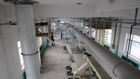 bean processing equipment belt conveyor.jpg