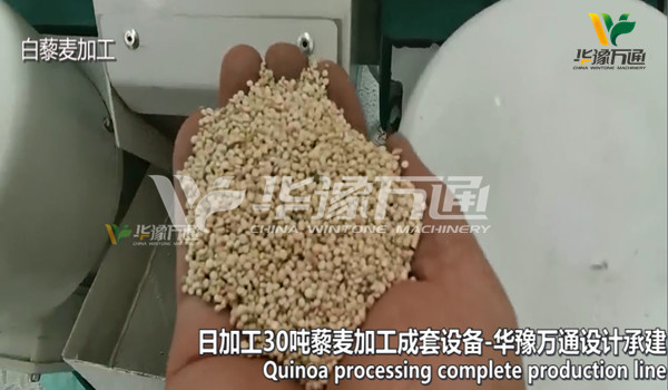 quinoa processing plant