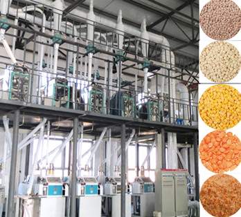 bean processing equipment innovation form.jpg