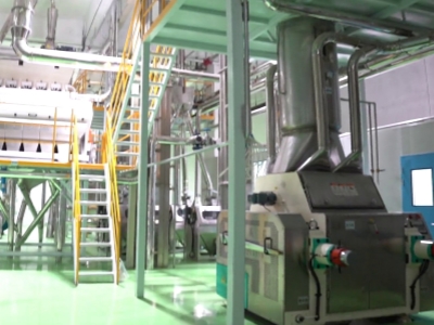 What Are Oat Flakes & What Machines Are Used for Processing?
