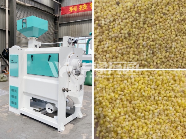 MTPS18S Millet milling machine.jpg