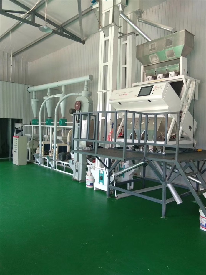 oat grading machine