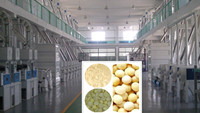 bean processing equipment safety.jpg