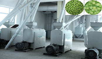 bean processing equipment and bean nutritional value.jpg