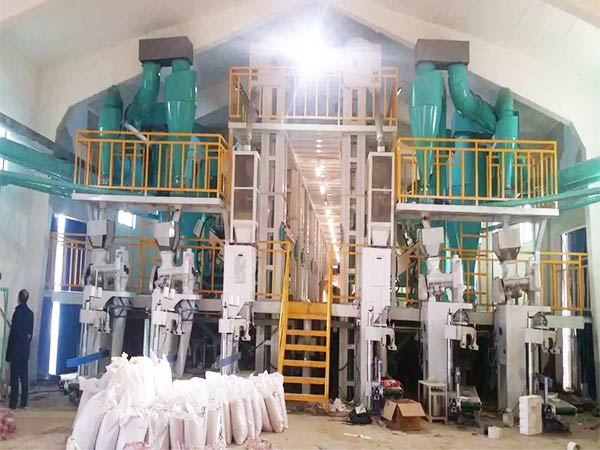 How to Launch a Sorghum Milling Plant in South Africa and Botswana?