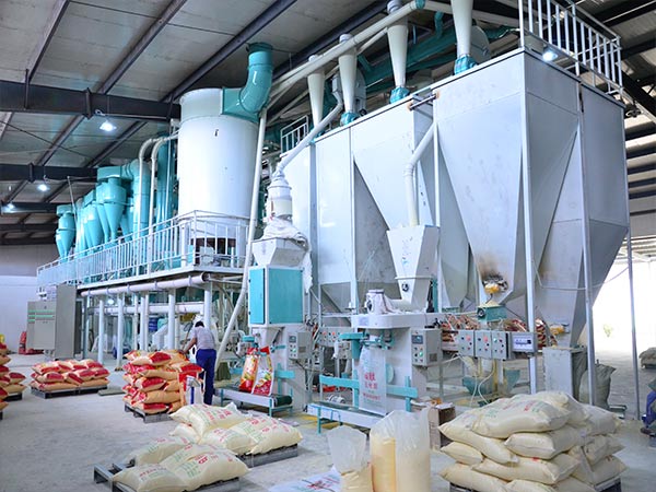 Maize Processing