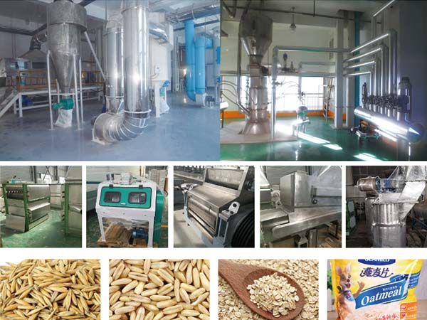 Oat Processing