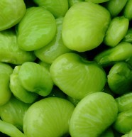 lima bean peeling machine.jpg