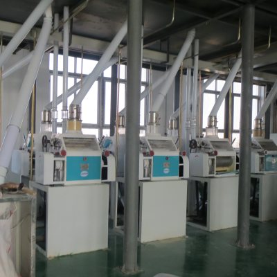 Beans Flour Grinding Line