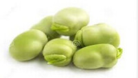 broad bean processing plant.jpg