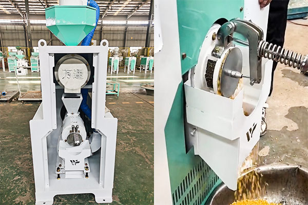 bean peeling polishing machine