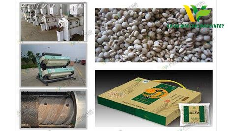 Chinese pearl barley dehulling machine.jpg