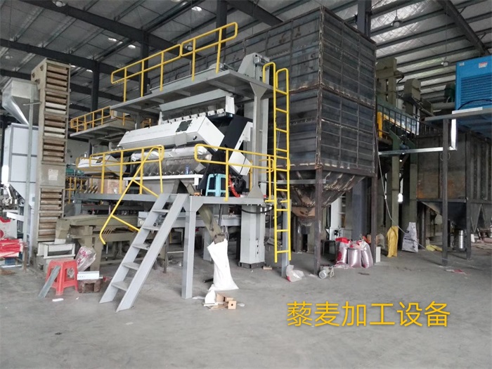 Small grain processing equipment in China