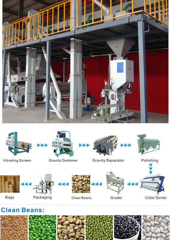 Seed processing equipment