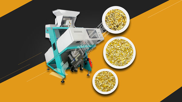 Buckwheat Sorting Machine