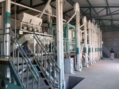 Win Tone Millet Milling Machinery Empowers Your Industrial Millet Processing Plant